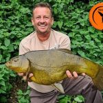 The best tench & bream baits in the Hook Bait Company range. Best baits to catch big bream and tench
